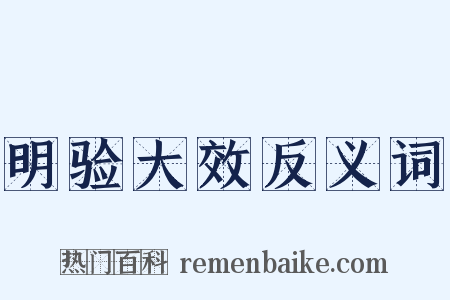 明验大效反义词是什么意思的图片